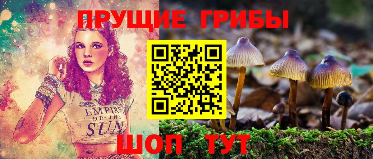 купить наркотик  Галлюциногенные грибы Cubensis  Псилоцибиновые грибы Cubensis  Вход с VPN  Семёнов 